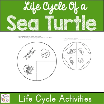 Sea Turtles by PrintablePrompts | Teachers Pay Teachers