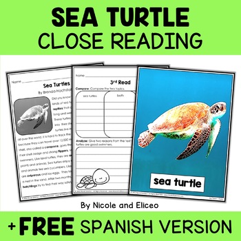 Preview of Sea Turtle Close Reading Comprehension Passage Activities + FREE Spanish