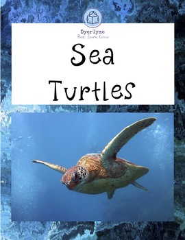 Preview of Sea Turtles