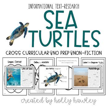 Preview of Sea Turtles- A Non-Fiction Magic Tree House Accompany Pack