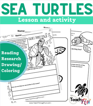 Preview of Sea Turtles Activity and reading passage