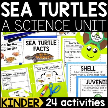 Preview of Sea Turtles Animal Study | Ocean Animals: All About Sea Turtles Science Unit