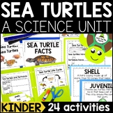 Sea Turtles Animal Study | Ocean Animals: All About Sea Tu