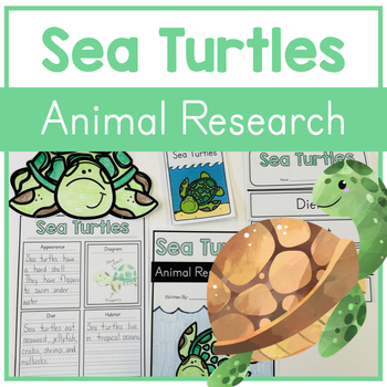Preview of Sea Turtles: Animal Research