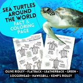 Sea Turtles Around The World - Coloring and Fact Sheets