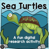 Sea Turtles Digital