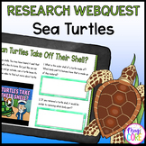 Sea Turtles Digital Research WebQuest Activity Google Slid