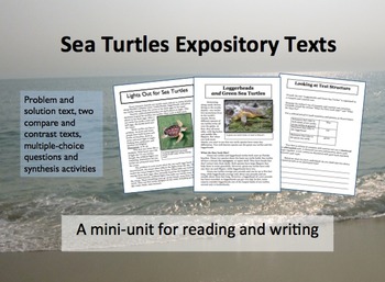 Preview of Sea Turtles Expository Text Mini-Unit