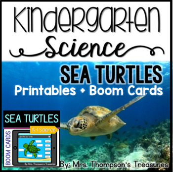 Sea Turtles Kindergarten Science NGSS by Mrs Thompson's ...