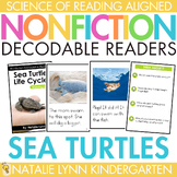 Sea Turtles Life Cycle Differentiated Nonfiction Decodable