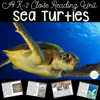 Preview of Sea Turtles Life Cycle & More | Nonfiction Resource | Close Reading Unit