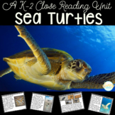Sea Turtles Life Cycle & More | Nonfiction Resource | Clos