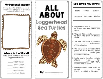 sea turtles loggerheads brochure project using informational text vocab