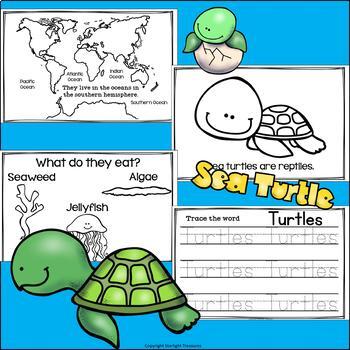 Dive into Reading with These Top Turtle Books for Preschoolers