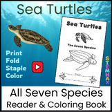 Sea Turtles Reader Coloring Book Use with Video