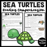 Sea Turtles Reading Comprehension Worksheet Ocean Creatures