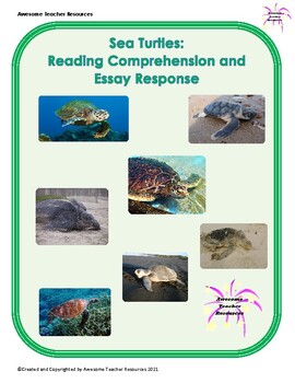 Preview of Sea Turtles Reading Comprehension Passage and Essay Response: GR 5