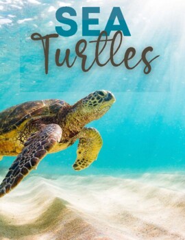 Preview of Sea Turtles Unit Study