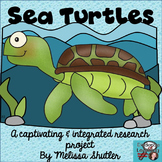 Sea Turtles Research and Tracking Project
