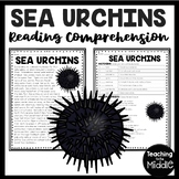 Sea Urchins Informational Text Reading Comprehension Works