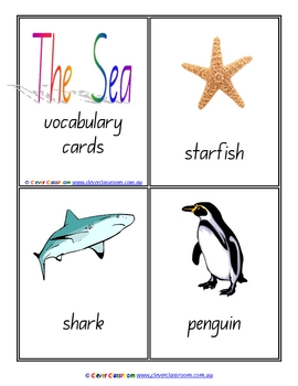 Preview of Sea Vocabulary/Flash Cards/Word Wall Cards - 8 pages