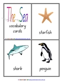 Sea Vocabulary/Flash Cards/Word Wall Cards - 8 pages