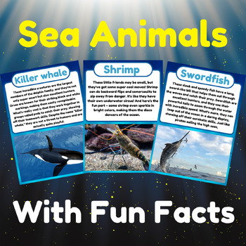 Preview of Sea animals Fun Facts Flashcards With Real Photos! Ocean Animal. Back to school.