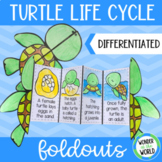 Sea turtle reptile life cycle foldable sequencing activity