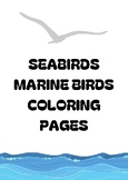 Seabirds, Marine Birds Water Birds Coloring Pages