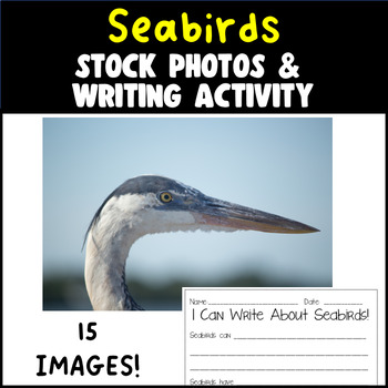 Preview of Seabirds Stock Photos and Writing Activity