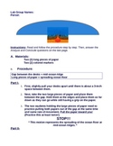 Seafloor Spreading Lab/Activity