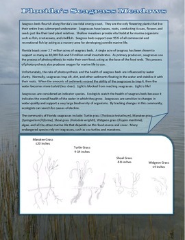 Seagrass Beds: Benefits and Threats by Stewards of America - Science