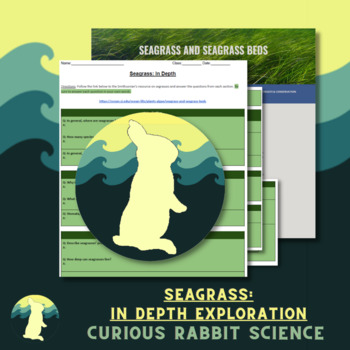 Preview of Seagrass: In Depth
