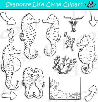 seahorse clipart vector of jesus