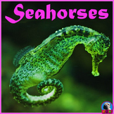 Seahorses - PowerPoint & Activities