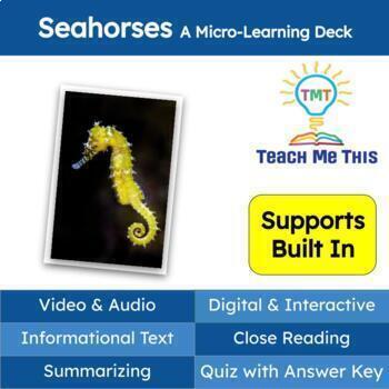 Preview of Seahorses Informational Text Reading Passage and Activities