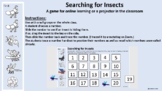 Searching for Insects - Math Game - Number Identification 