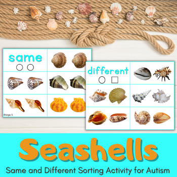 Preview of Seashells Beach Theme Activity for Speech Therapy and Special Education