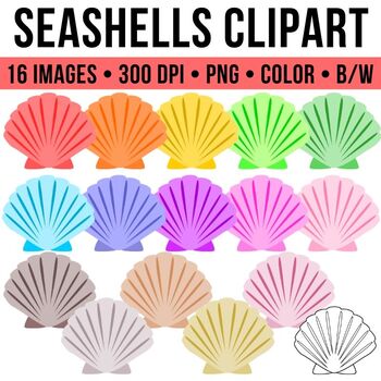 Preview of Seashells Clipart - Summer Clipart
