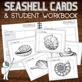Seashells Drawing Task Cards & Workbook, High & Middle Sch