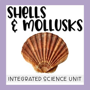Preview of Seashells & Mollusks Unit