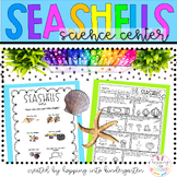Shells Kindergarten Science Center - All About Seashells