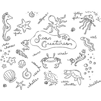 Preview of Seashells & Sea Creatures Clip Art & Coloring Page