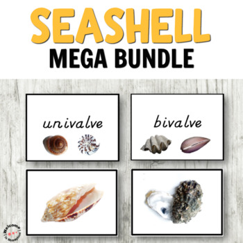 Seashells activities bundle with Montessori printables! Math, language