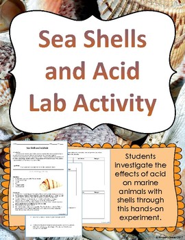 Preview of Seashells and Acid Lab / Ocean Acidification / Marine Chemistry / Climate Change