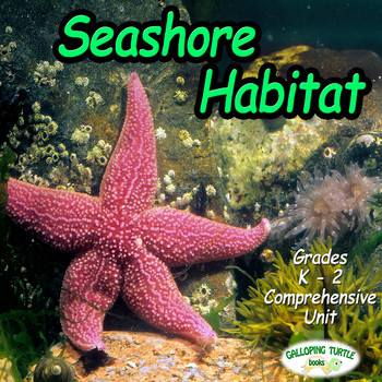 Preview of Seashore and Tidepool Habitat (Biome)