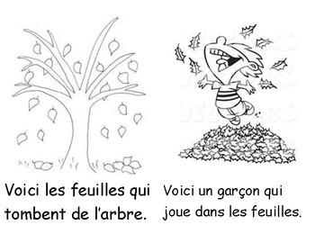 Season Book - Fall (in French) by ffiona Van Beilen | TpT