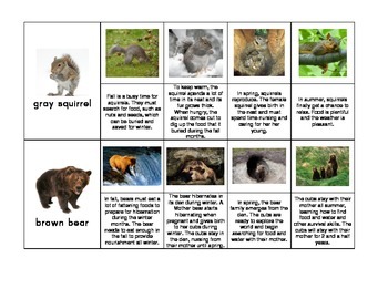 Preview of Seasonal Behaviors and Adaptations Sequence Cards