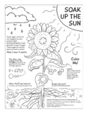 Seasonal Change coloring and activity page bundle