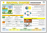 Seasonal Changes Knowledge Organizer!